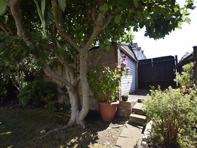Picture 5